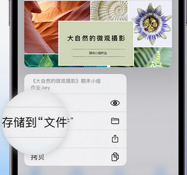 凤翔apple维修中心分享iPhone文件应用中存储和找到下载文件