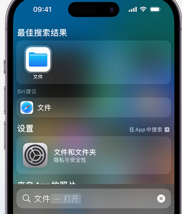 凤翔apple维修中心分享iPhone文件应用中存储和找到下载文件 