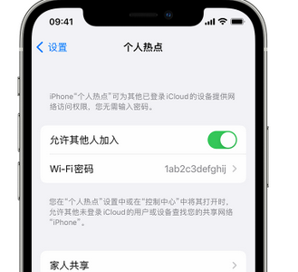 凤翔apple服务站点分享iPhone上个人热点丢失了怎么办 