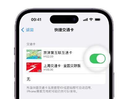 凤翔apple维修点分享iPhone上更换Apple Pay快捷交通卡手绘卡面 