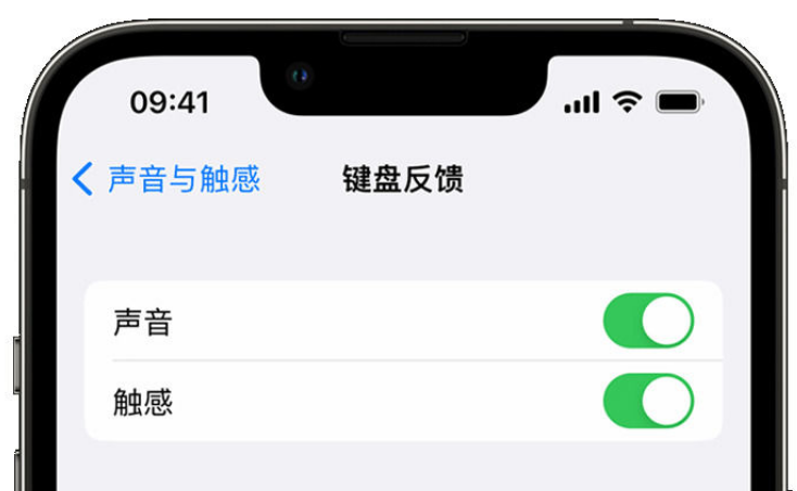 凤翔苹果手机维修分享iPhone 14触感键盘使用方法 