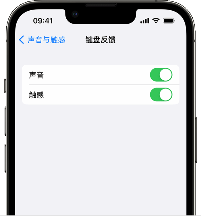 凤翔苹果14维修店分享如何在 iPhone 14 机型中使用触感键盘 