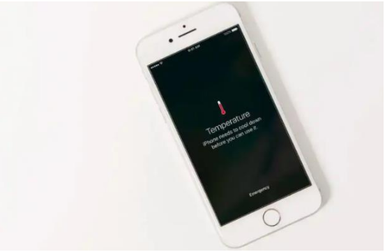 凤翔苹果手机维修分享iPhone 手机发热如何快速降温 