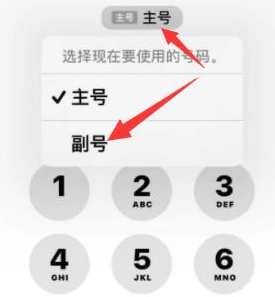 凤翔苹果14维修店分享iPhone 14 Pro Max使用副卡打电话的方法 