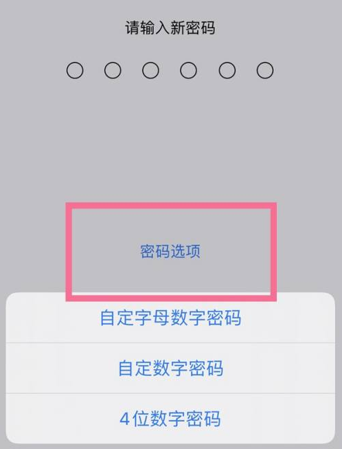 凤翔苹果14维修分享iPhone 14plus设置密码的方法 