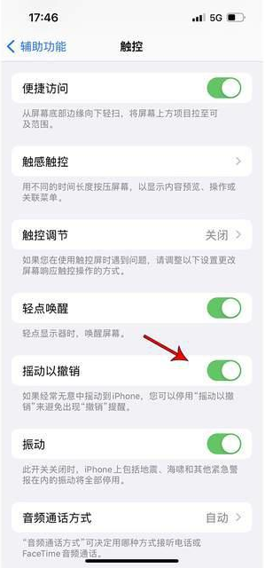 凤翔苹果手机维修分享iPhone手机如何设置摇一摇删除文字 