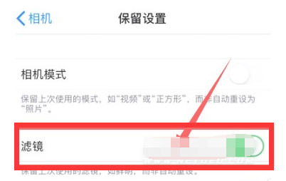 凤翔苹果13维修分享iPhone13拍照有绿点是怎么回事 