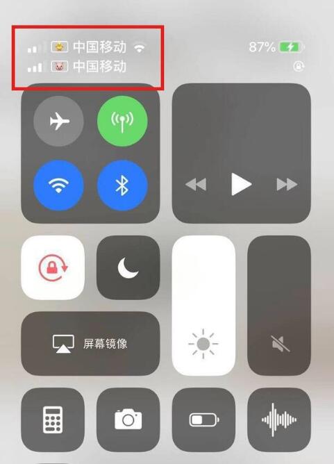 凤翔苹果手机维修分享为 iPhone 12 双卡设置标签 