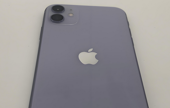 凤翔苹果11系统维修分享iPhone11手机系统崩溃无法开机如何解决 